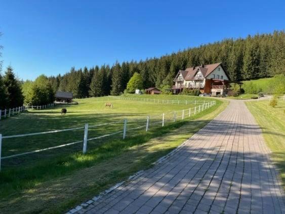Wichrowe Wzgorze Βίλα Stronie Śląskie Εξωτερικό φωτογραφία